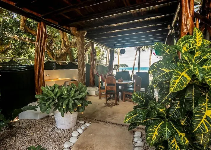 Tree House Unit 4 Apartamento